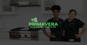 Primavera x Lead Generation Agency Arbi Click